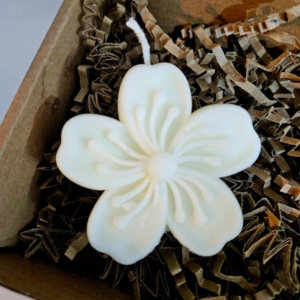 Cherry Blossom  Soya Candle - Scented - 80ml