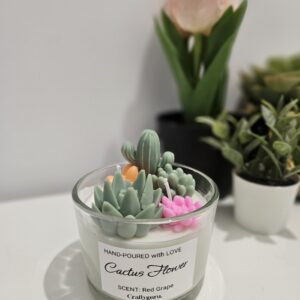 Cactus Flower Soy Candle - Select your Favorite Aroma- 200ml